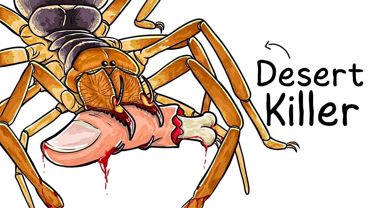 Why it Sucks To Be Born As a Wind Scorpion