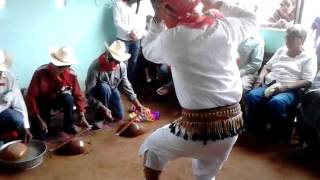 Danza del Venado Semana Santa 2015 Mayo-Yoreme