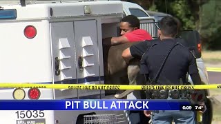73-Year-Old Central El Paso Man Critically Hurt In Pit Bull Attack