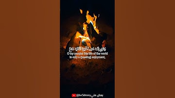 #آيات #سورة #قرآن #قران_كريم #اسلام #اكسبلور #اكسبلور_explore #explore #quran