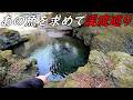 みんなが釣りたいあの魚♪