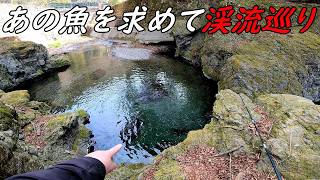 みんなが釣りたいあの魚♪