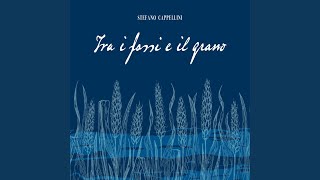 Il mondo è una favola - Stefano Cappellini
