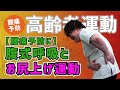 【高齢者運動】腰痛予防に！腹式呼吸とお尻上げ運動 #56