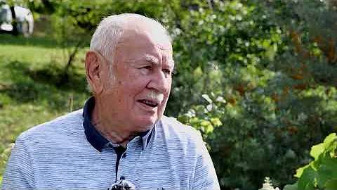 Jak se pěstování rakytníku sbírat?