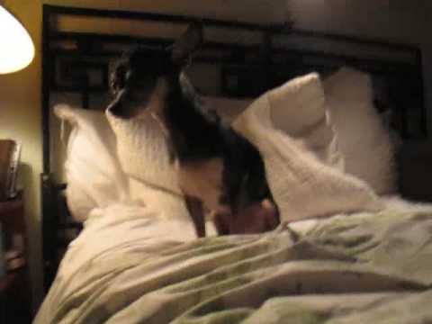 MsLeahSparrow - YouTube