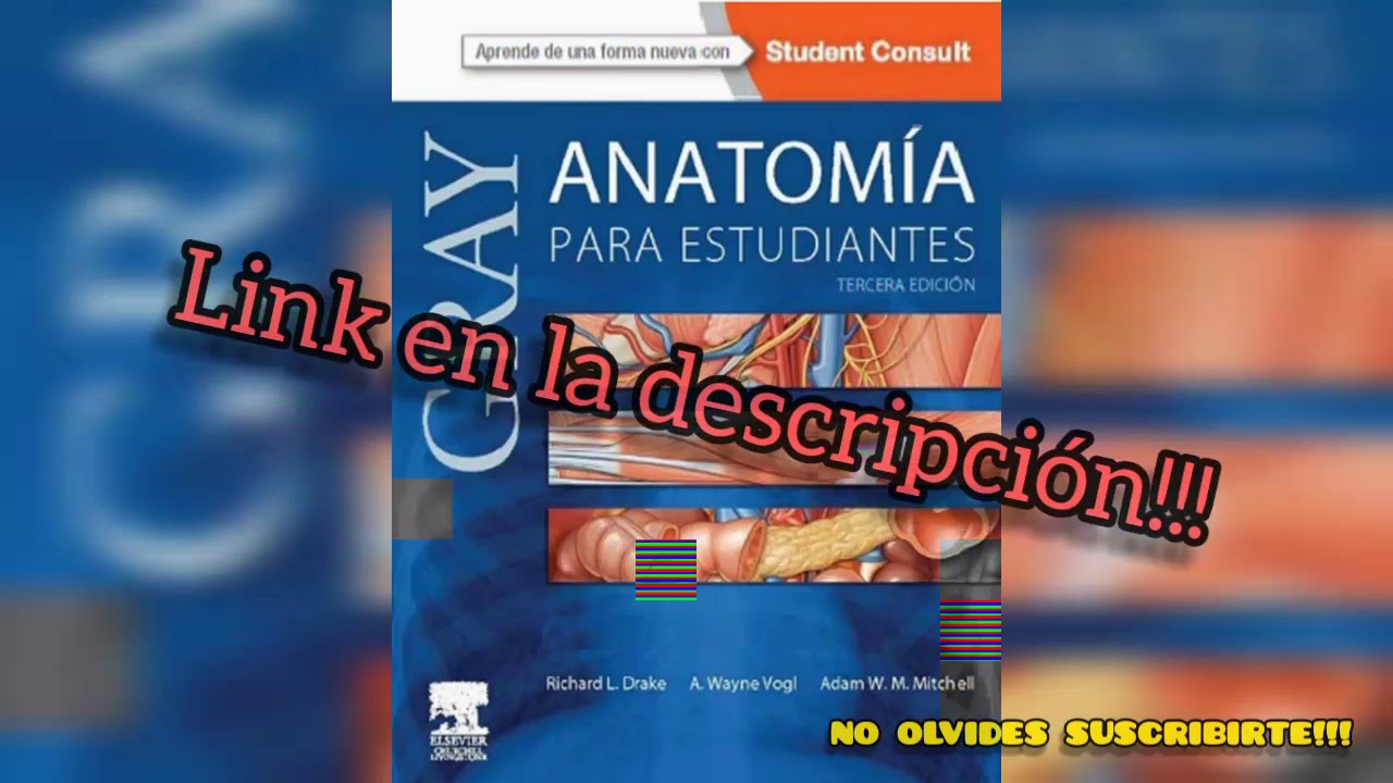Libro de Anatomía de Gray - Descargar | PDF | Todos los libros - YouTube
