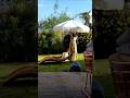 Amazon Patio Makeover 😍 | #amazon #amazonprime #founditonamazon #shorts (2023)