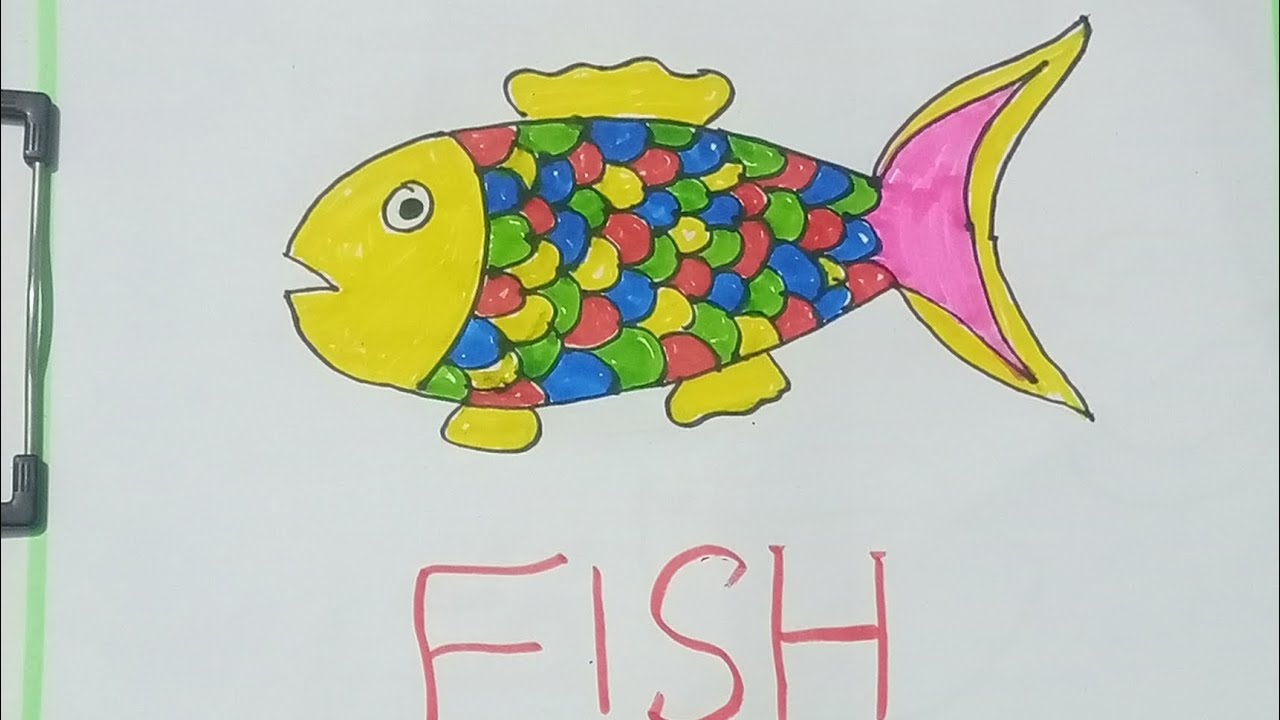 How to draw easy Fish drawing.. beautifil fish drawing & colours. Fish ...