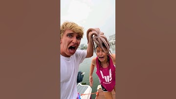 My SISTER got STUNG by an OCTOPUS!!