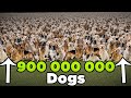 Number of DOMESTIC ANIMALS at scale | 3D