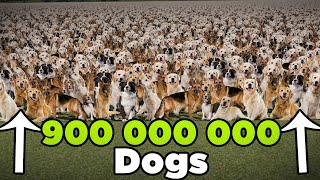 Number of DOMESTIC ANIMALS at scale | 3D