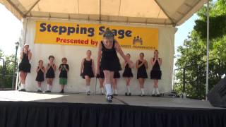 Irish Dance Medley Bag of Cats