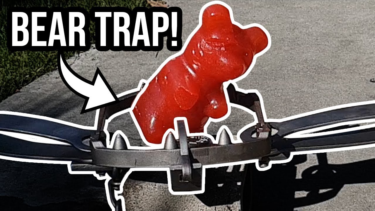 Giant Gummy Bear in a Bear Trap!! - The Dudesons