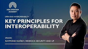 Key Principles for Interoperability