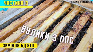 картинка: Зимівля бджіл. ППС вулики. Частина 3