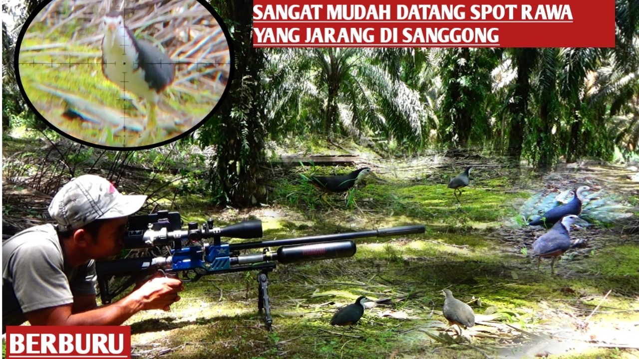 HUNTING RUAK RUAK‼️SANGAT MUDAH DATANG NYANGGONG RUAK RUAK YANG JARANG DI PIKAT