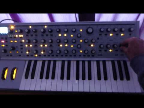Moog Subsequent 37 unveiling!