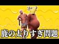 【検証】もしも藤田(動物)がこれ以上太ってしまったらダンソンは継続可能！？【バンビーノ】