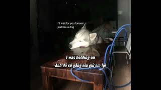 Late Night Drive Home - Stress Relief (Vietsub + )