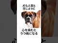【雑学】あまり知られていない犬の秘密5選 Part.2