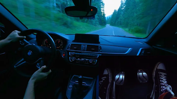 Manual BMW M2 Drive It Like You Stole It!