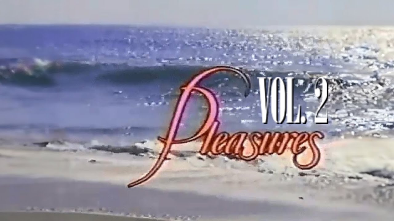 ＰＬＥＡＳＵＲＥＳ ＶＯＬ.２ /// 𝘼 𝙑𝙖𝙥𝙤𝙧𝙬𝙖𝙫𝙚 𝙏𝙤 𝙋𝙡𝙖𝙣 𝙔𝙤𝙪𝙧 𝙃𝙤𝙣𝙚𝙮𝙢𝙤𝙤𝙣 / 𝙎𝙮𝙣𝙩𝙝𝙬𝙖𝙫𝙚 / 𝘾𝙝𝙞𝙡𝙡𝙬𝙖𝙫𝙚 [Retropical Records]