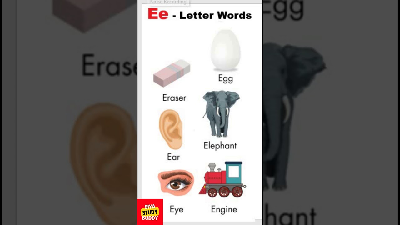 Words Starting With Letter E Alphabet Words With Pictures, Letter E Words | Words That Starts With E