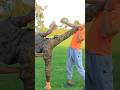 Solder Self Defence Sabom Gezish Yuri Boyika Scott Adkins Ethiopia Actor Karatekid 