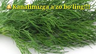 Shivitli choy yaxshi uxlashga yordam beradi