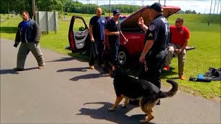 Southern Tier Police Canine Association 23rd Advanced K9 Handler Seminar - Clips with the K9-1 team