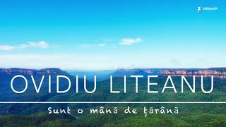 Sunt o mână de țărână - Ovidiu Liteanu