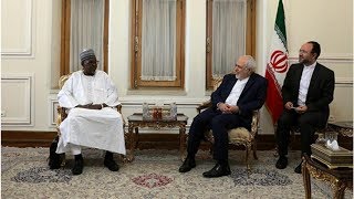 Iran, Niger Discuss Promotion of Ties in Tehran
