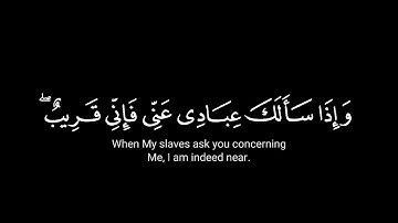 كرومات قرآن كريم شاشه سوداء | وإذا سألك عبادي عني فإني قريب.... | ماهر المعيقلي