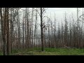 3. Гора Теплая (728 метров). Венец. Вершина. Май.