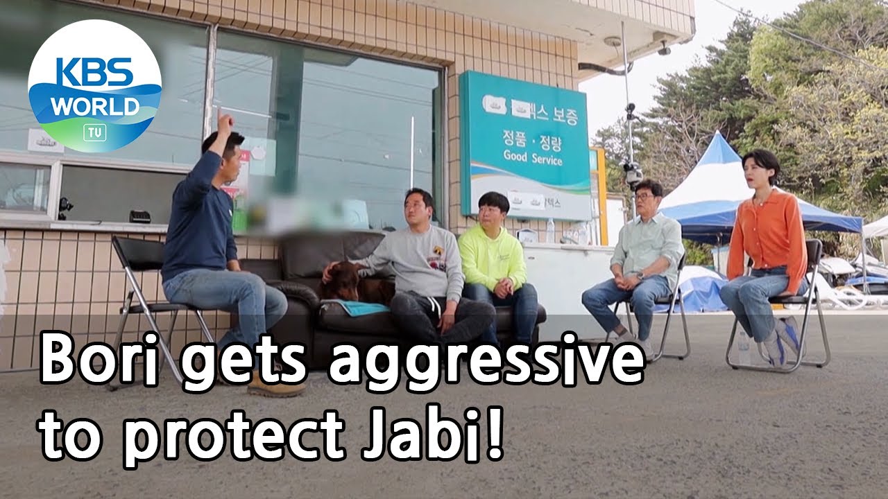 Bori gets aggressive to protect Jabi! (Dogs are incredible) | KBS WORLD TV 210526
