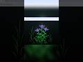 A Digital Flower-Bouquet💐 for your love because Software Engineers Are Too Busy to Buy Real Flowers!
