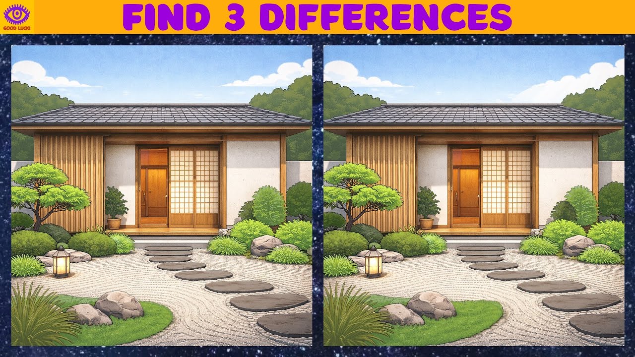 Find the Difference Game GOOD LUCK! 585
