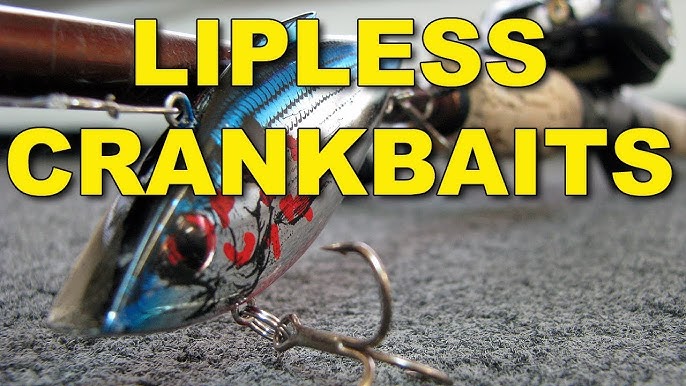 How To Fish Crankbaits for Monster Bass!