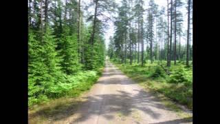 The Scent of Green In Fresh Air