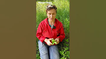 ЗАБУДЬ ПРО ГЕМОРРОЙ