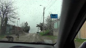 driving back downhill from the chapel of Pradera, Chile