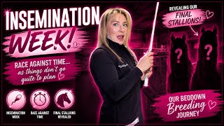 INSEMINATION WEEK!!! Will the girls be ready in time, or will we have to start over?