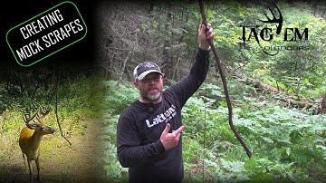 Creating Mock Scrapes That Work! | Summer Tree Stand Preparation