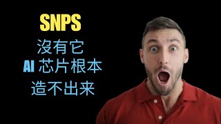 Synopsys (SNPS) 股票值得買嗎？AI 狂潮下的隐藏赢家！