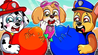 BREWING CUTE BABY \u0026 PREGNANT?! - CHASE x MARSALL Has a Baby - Paw Patrol Ultimate Rescue - Rainbow 3