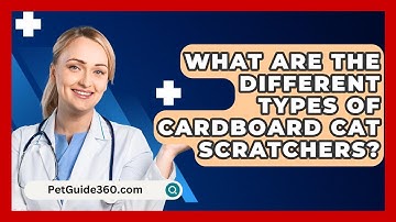 What Are The Different Types Of Cardboard Cat Scratchers? - PetGuide360.com