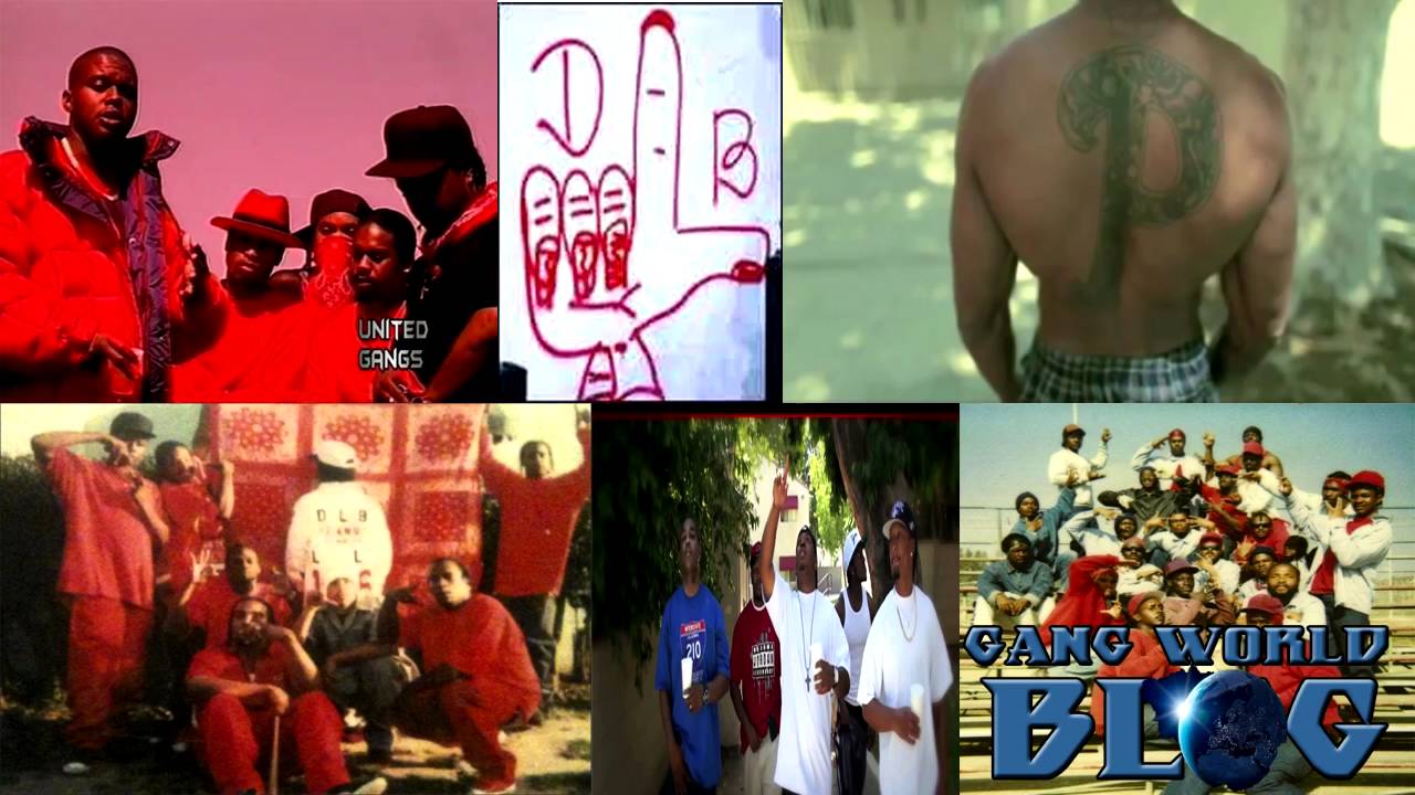Denver Lane Bloods Gang History (Los Angeles) YouTube