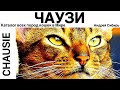 ЧАУЗИ. ВСЕ ПОРОДЫ КОШЕК МИРА. CHAOUSI.