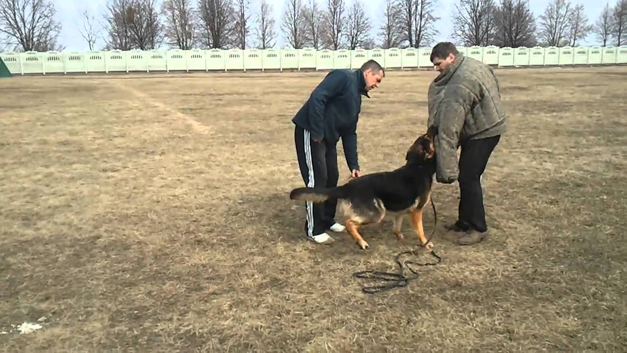 Баки. Защитная работа - YouTube